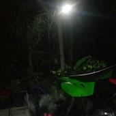 Nhận