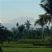 Đánh 