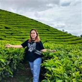 Trực