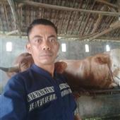 Chơi 