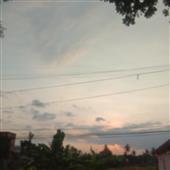 Dự đ