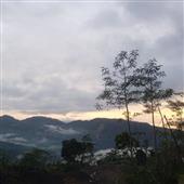 Lịch