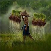Đại