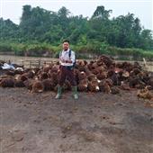 Lễ