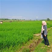 Nữ N