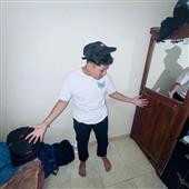 Luật