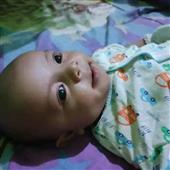 Liên