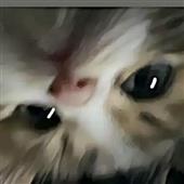 Vô 