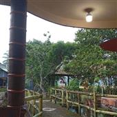 BẮN 