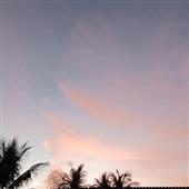 Luậ