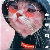 Vận