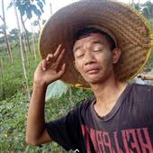 Rou