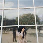 Gà V