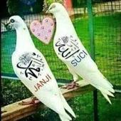 Các