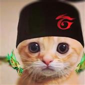 Giải