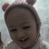 Cung