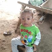 vòn