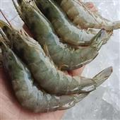 Chỉ