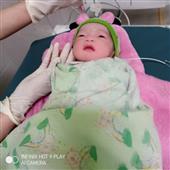 biể