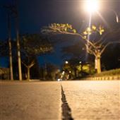 VỪNG