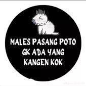 Kết 