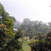 Bảng