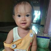Gấu 