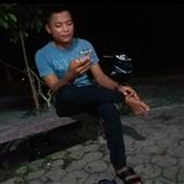 Trực