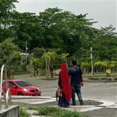 Việt