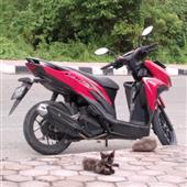 Thảm