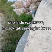Vỡ n