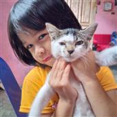 lụ