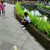 Quản