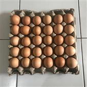 4 Lá