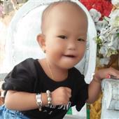 Gấu