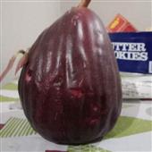 Đ