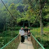 Nhật