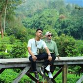 Rồng