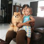 Chụp