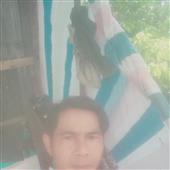 Gấu 