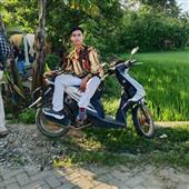 Bản