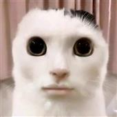 đư