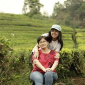 Bảng