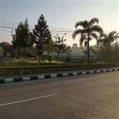 Chỉ 