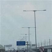 Cược