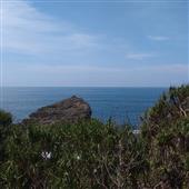 PHÚ 