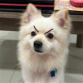 Giải