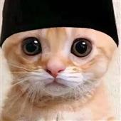 Các