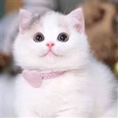 Luậ
