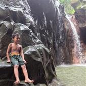 Trực
